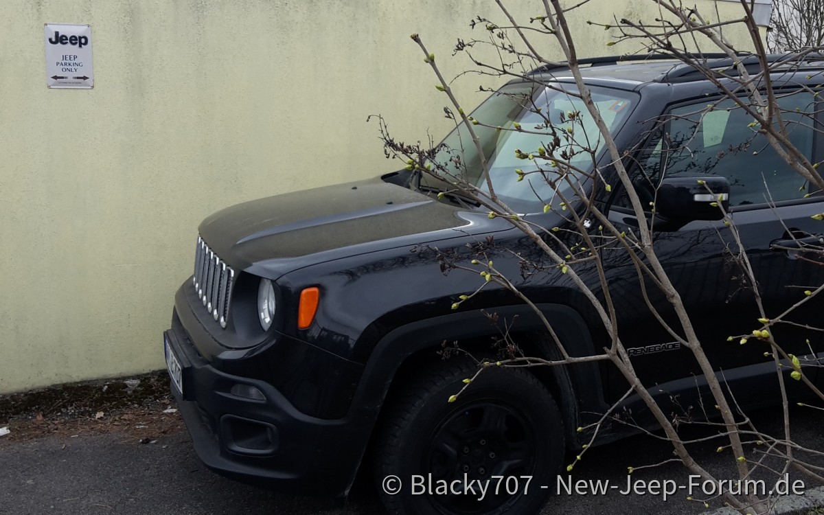 Frühling ist's, die Knospen sprießen!