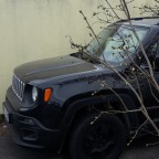 Frühling ist's, die Knospen sprießen!