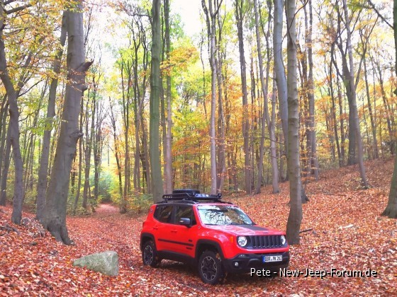 Herbststimmung 1 - Farbenspiel mit Renegade