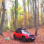 Herbststimmung 1 - Farbenspiel mit Renegade