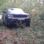 Im natürlichen Lebensraum