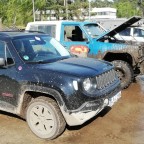 Fürsten Forest - 20.04.19