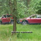 6 Mike spielt auf der Wiese