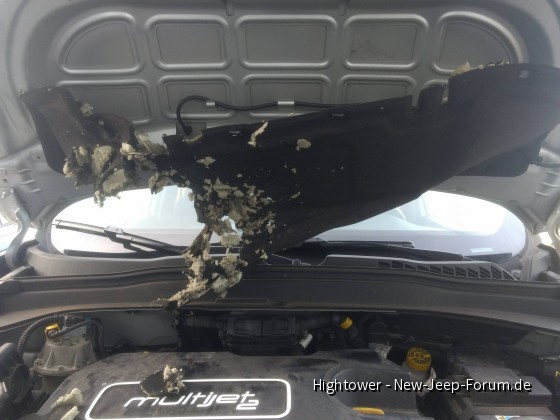 Renegade vom Marder zerfleischt