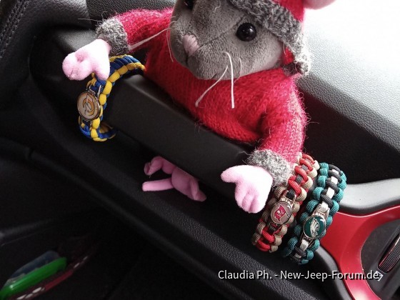 Freddy im Football Fieber