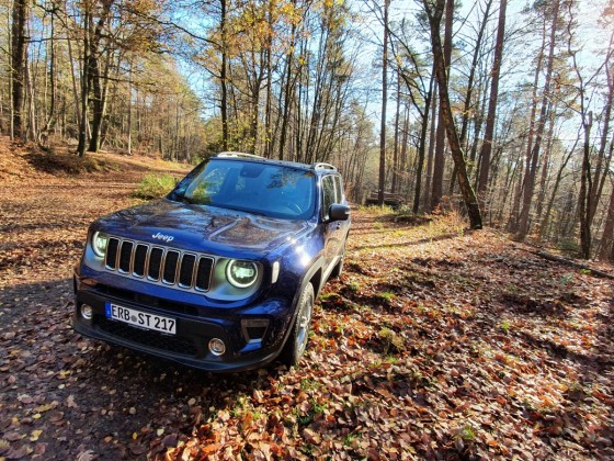 Ich war mal im Wald nach dem Rechten schauen