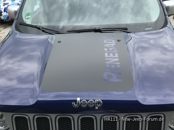 Neue und endgültige Version des Blendschutzes