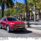 JEEP Cherokee 2014