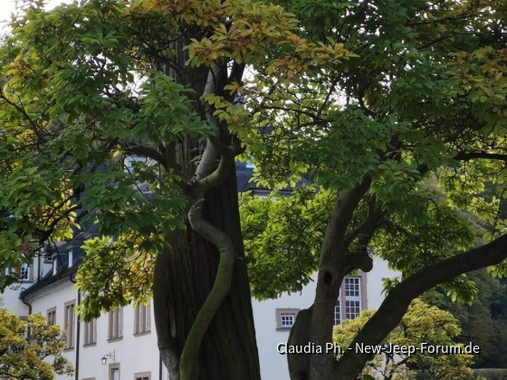 Offroad Day Schloß Ehreshoven Engelskrichen