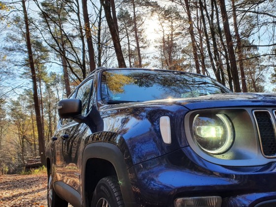 Ich war mal im Wald nach dem Rechten schauen