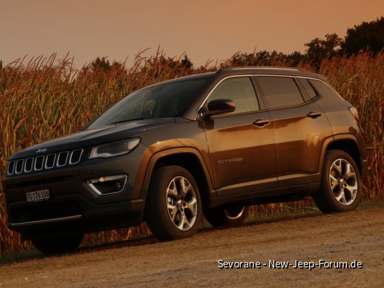 Eleganter Abenteurer