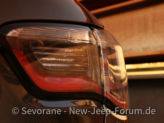 Eleganter Abenteurer