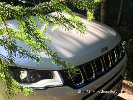 Jeep compass