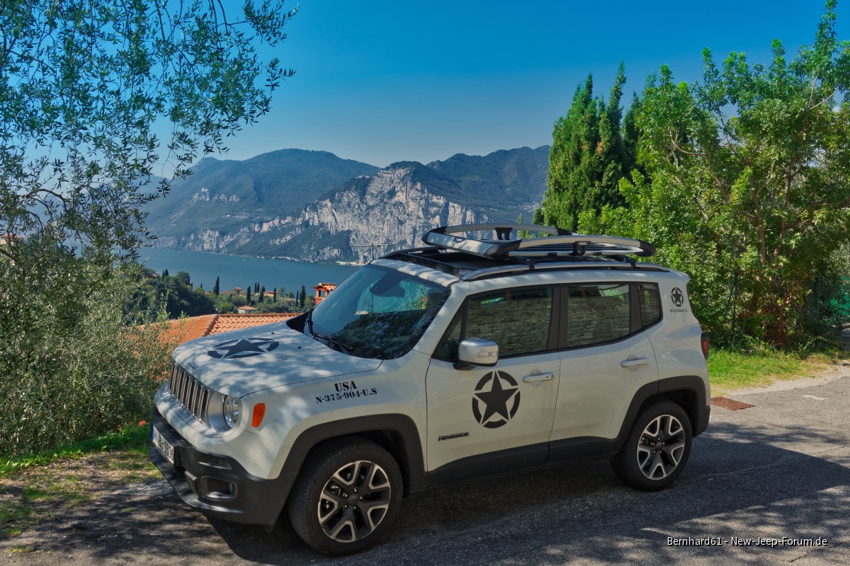 Mein Renegade mit Thule Dachkorb