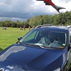 Fliegender Fisch über blauem Cherokee