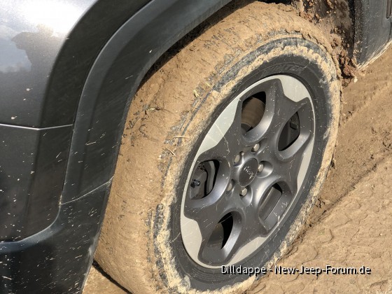 Jeep Training Ballenstedt