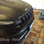 Nummernschildhalterung vorne - Vorbau entfernen