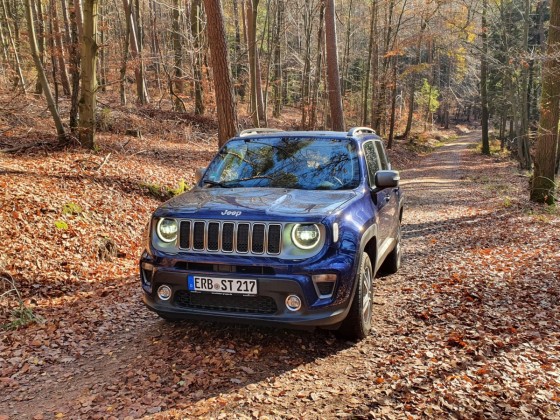 Ich war mal im Wald nach dem Rechten schauen