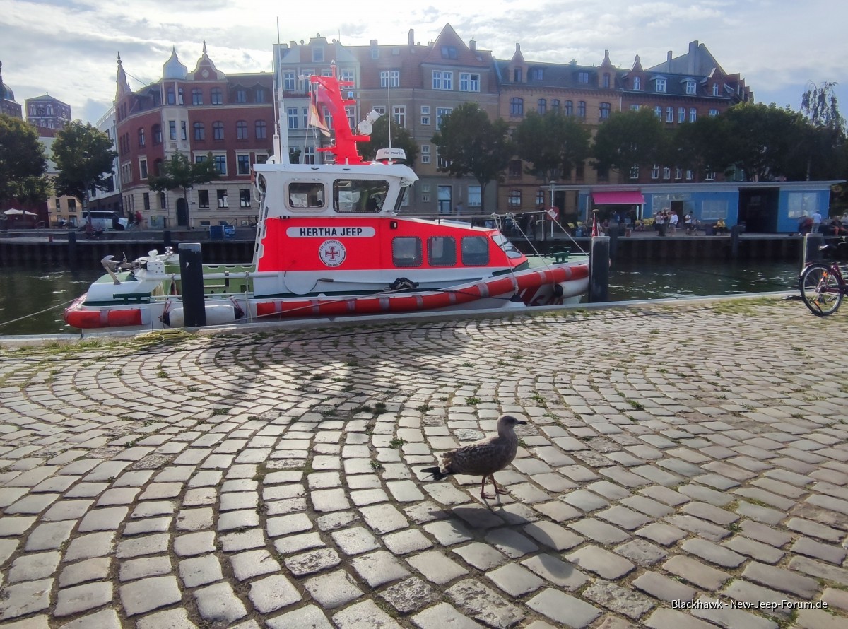 Neulich im Hafen: Herthas Jeep mit Vogel