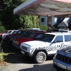 My GC visiting his ancestors