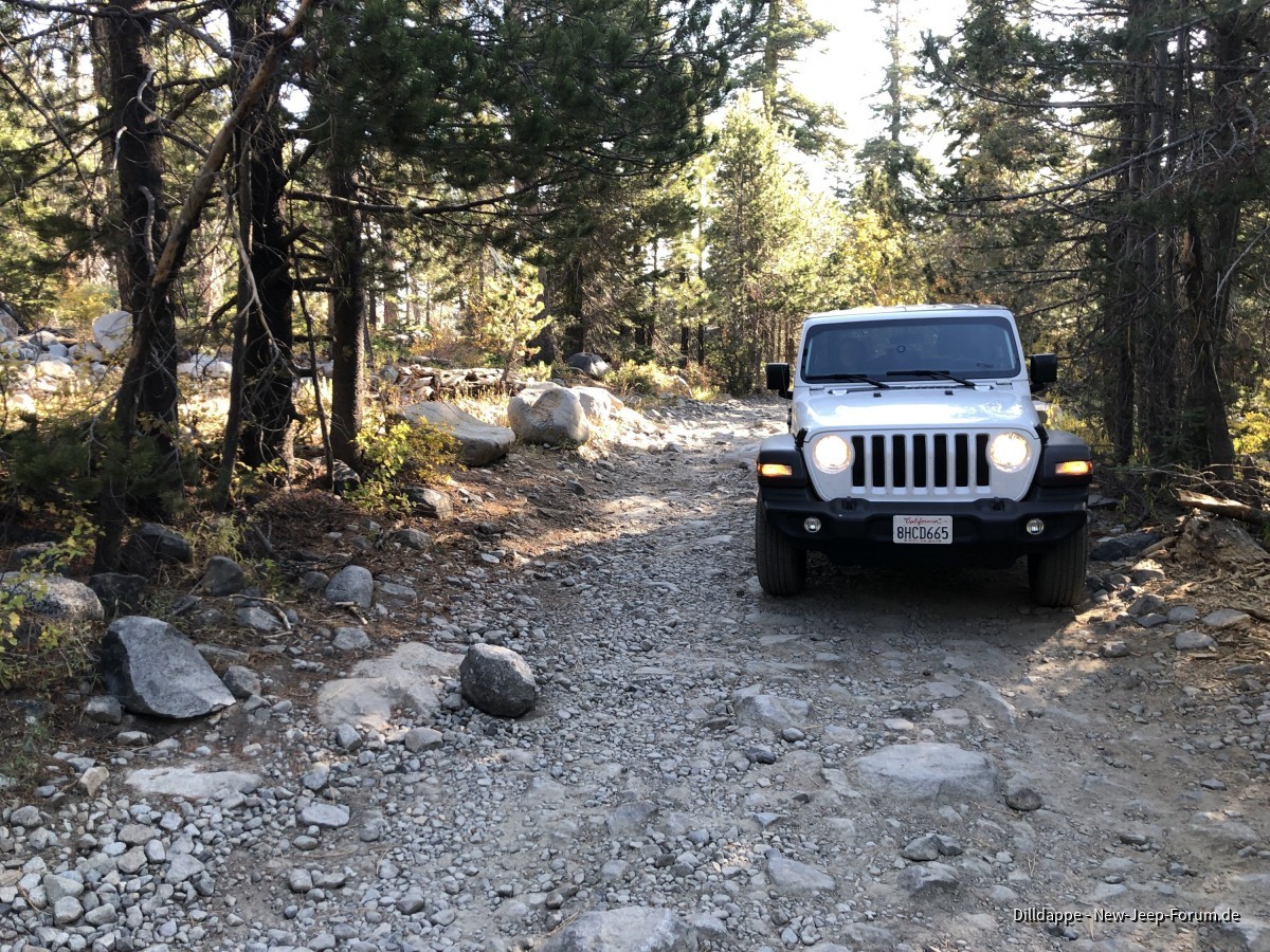 Rubicon- Trail