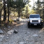 Rubicon- Trail