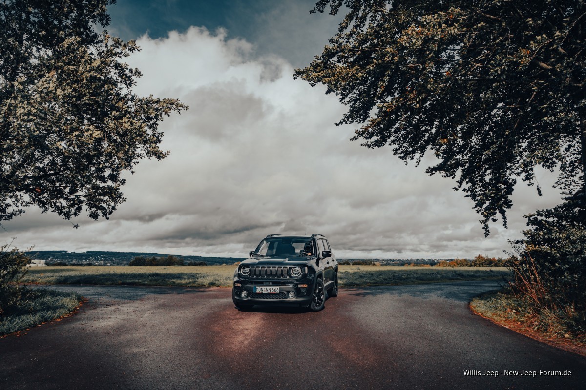 Mein Willis Jeep