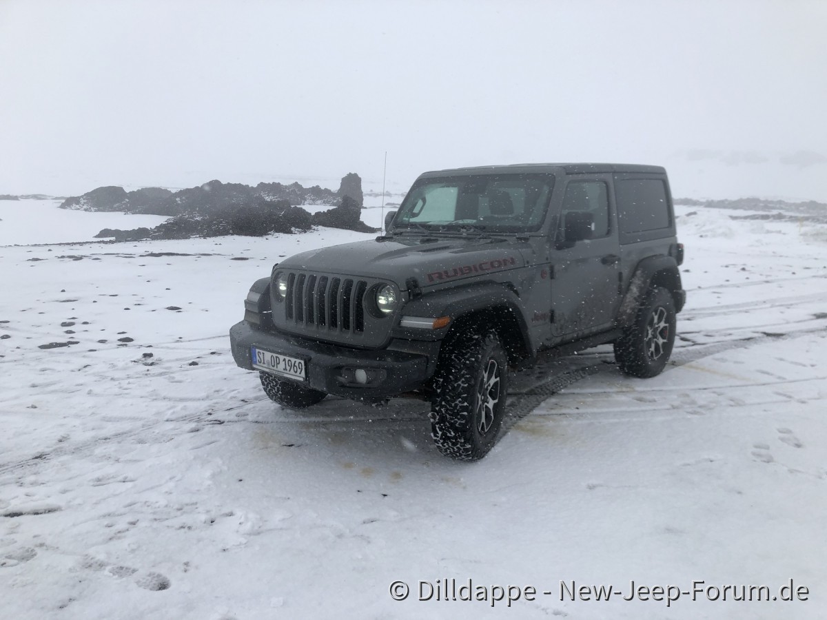 Artgerechte Haltung in Island