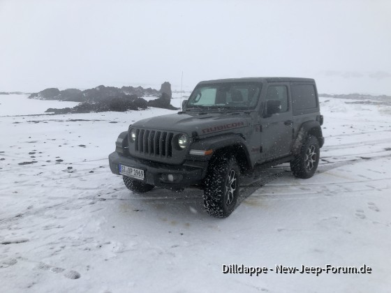 Artgerechte Haltung in Island