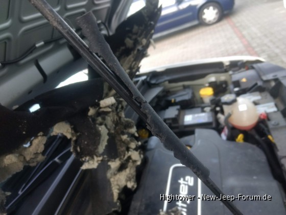 Renegade vom Marder zerfleischt