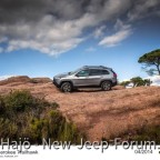 JEEP Cherokee 2014