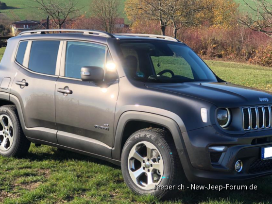 Neuer Rennegade mit "alten" Felgen (225/65/R17)