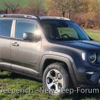 Neuer Rennegade mit "alten" Felgen (225/65/R17)