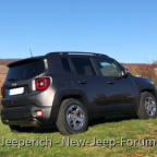 Neuer Rennegade mit "alten" Felgen (225/65/R17)