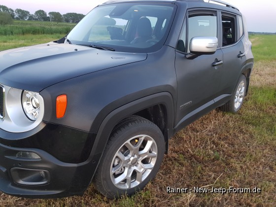 Carbon Folie linke Seite