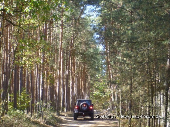 Offroadpark Wurzelsepp Peckfitz