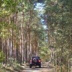 Offroadpark Wurzelsepp Peckfitz