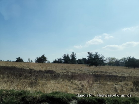 Heidefeld und Hügel in Holland