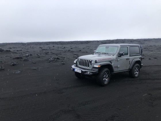 Artgerechte Haltung in Island